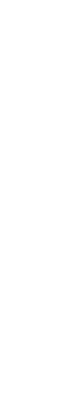 tenedor